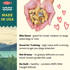 A Better Treat Freeze Dried Wild Caught Salmon Treats for Dogs & Cats