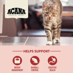 ACANA Indoor Entrée Dry Cat Food