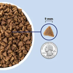 ACANA Indoor Entrée Dry Cat Food