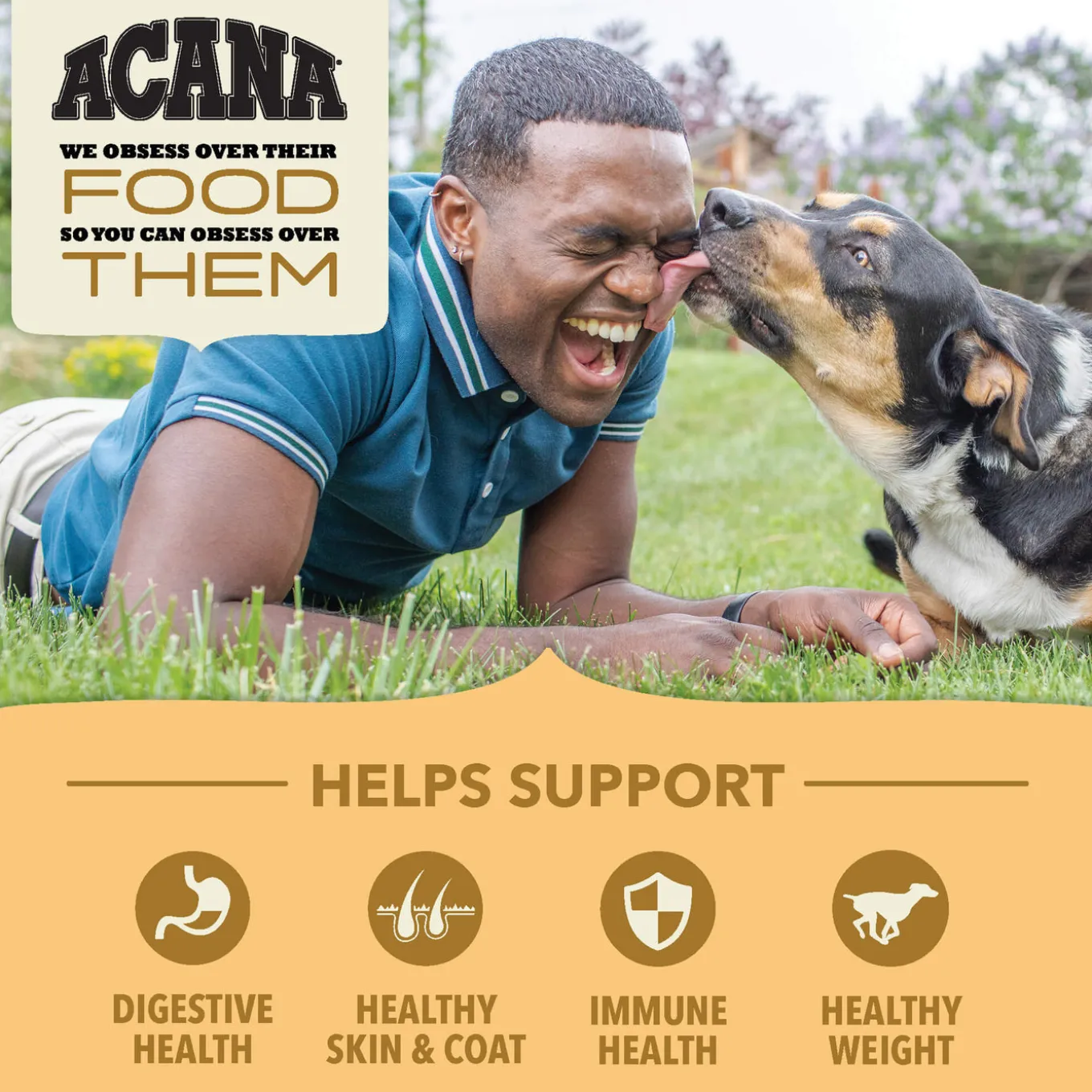 Acana Wholesome Grains Dry Food for Dogs