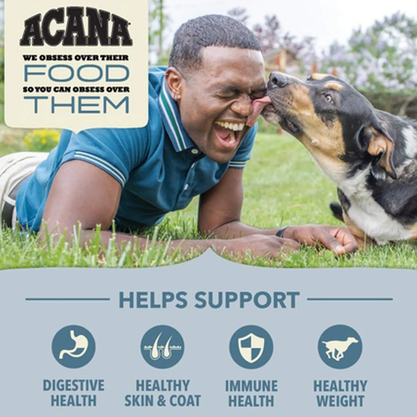 Acana Wholesome Grains Dry Food for Dogs