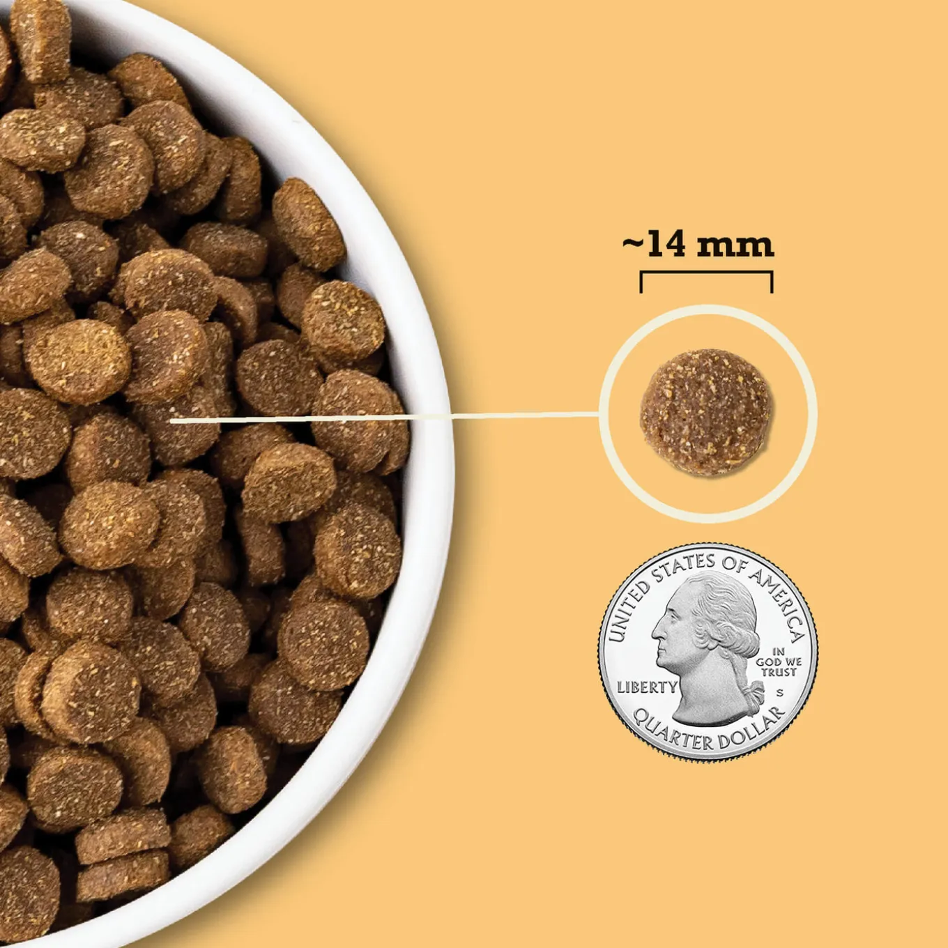 Acana Wholesome Grains Dry Food for Dogs