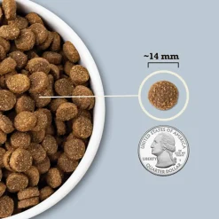 Acana Wholesome Grains Dry Food for Dogs