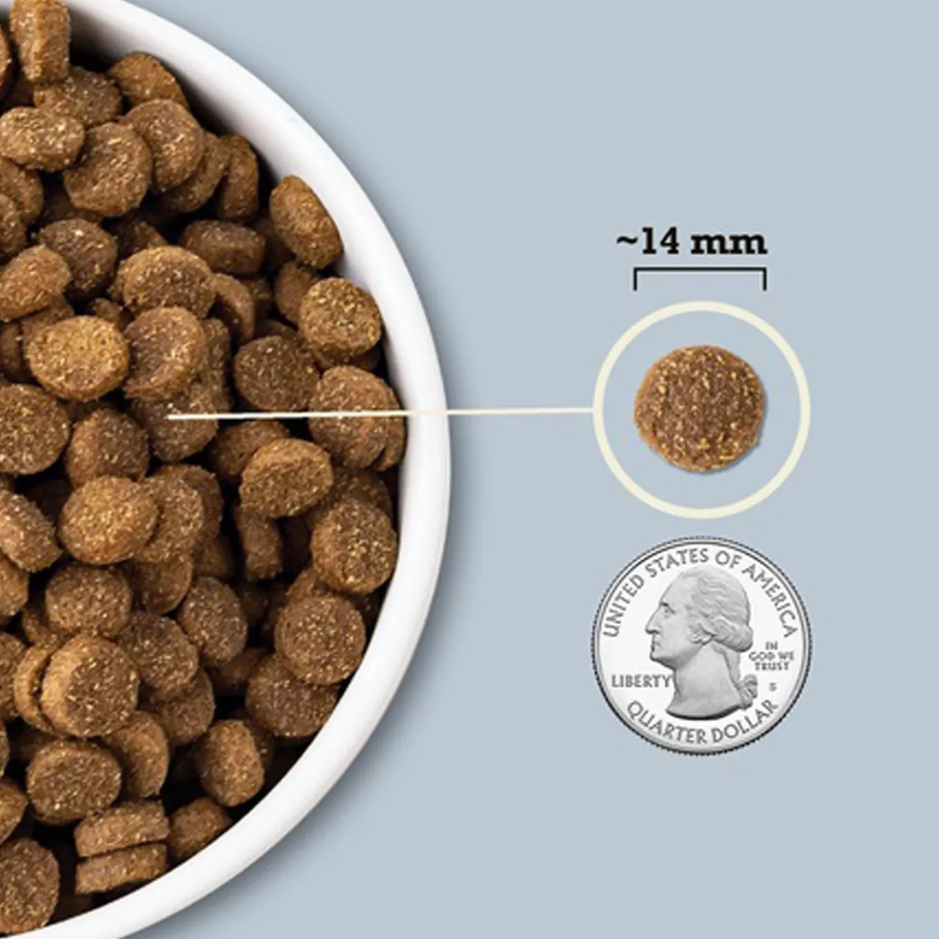 Acana Wholesome Grains Dry Food for Dogs