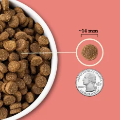 Acana Wholesome Grains Dry Food for Dogs