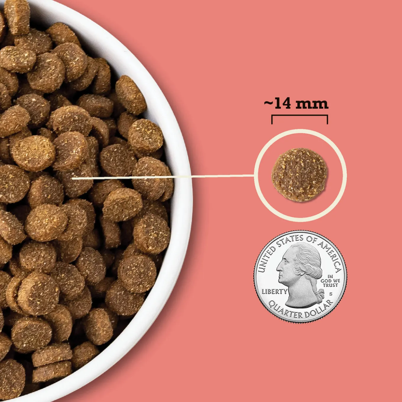 Acana Wholesome Grains Dry Food for Dogs