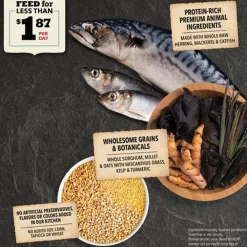 Acana Wholesome Grains Dry Food for Dogs