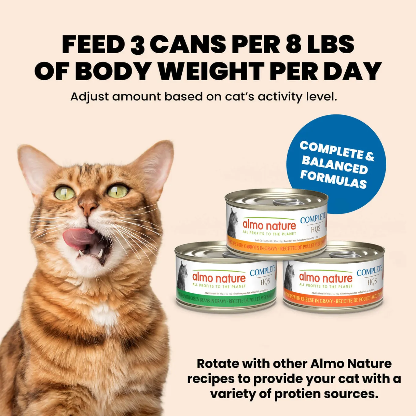 Almo Nature HQS Complete Wet Cat Food