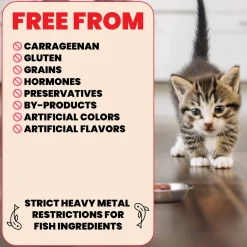 Almo Nature HQS Natural Wet Kitten Food Topper