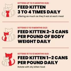 Almo Nature HQS Natural Wet Kitten Food Topper