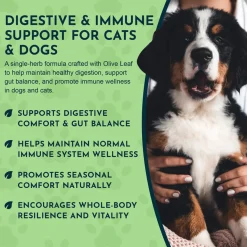 Animal Essentials Olive Leaf Herbal Extract Liquid for Dogs & Cats