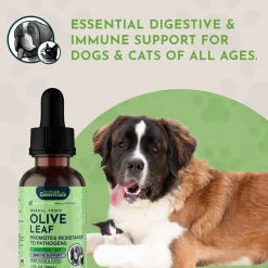 Animal Essentials Olive Leaf Herbal Extract Liquid for Dogs & Cats