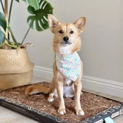 Bark Potty All Natural Pee Pad