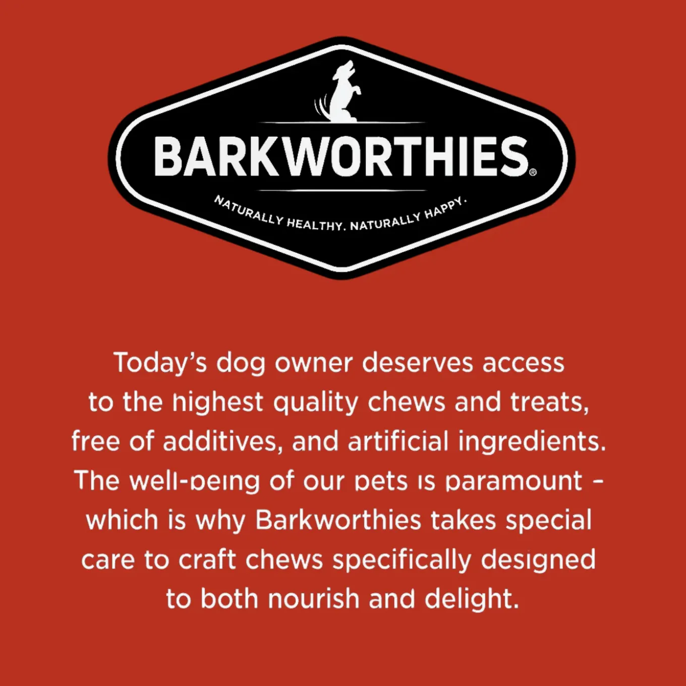Barkworthies Naturally Smoked Beef Stick Dog Chews