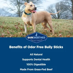 Barkworthies Odor Free Standard Bully Sticks for Dogs