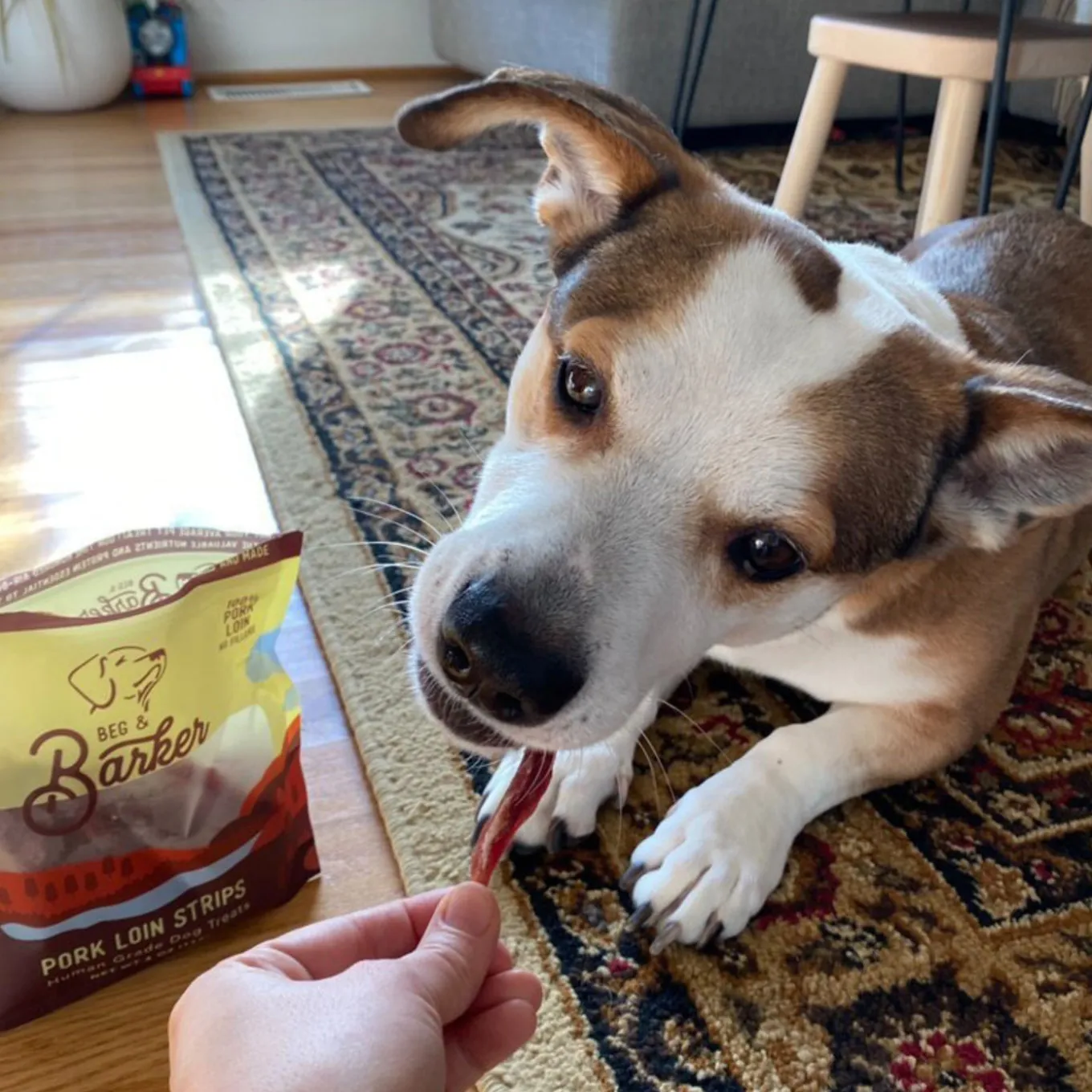Beg & Barker Strips Single Ingredient Human Grade Dog Treats