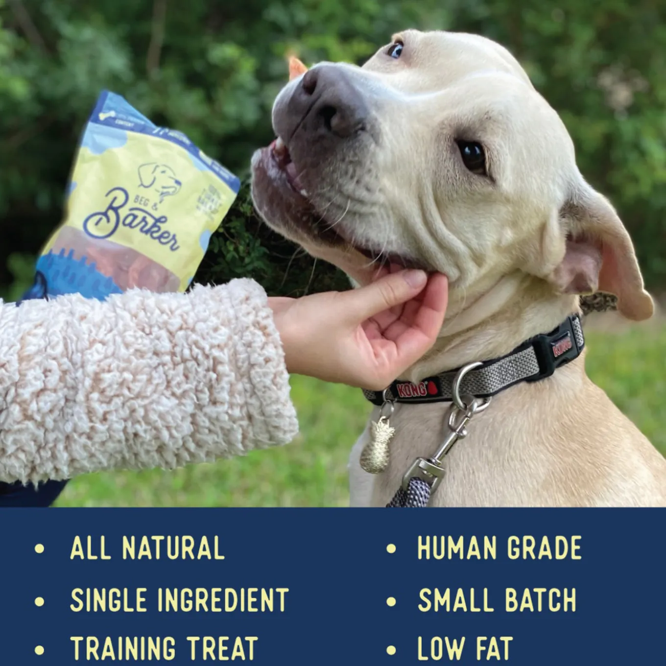 Beg & Barker Strips Single Ingredient Human Grade Dog Treats