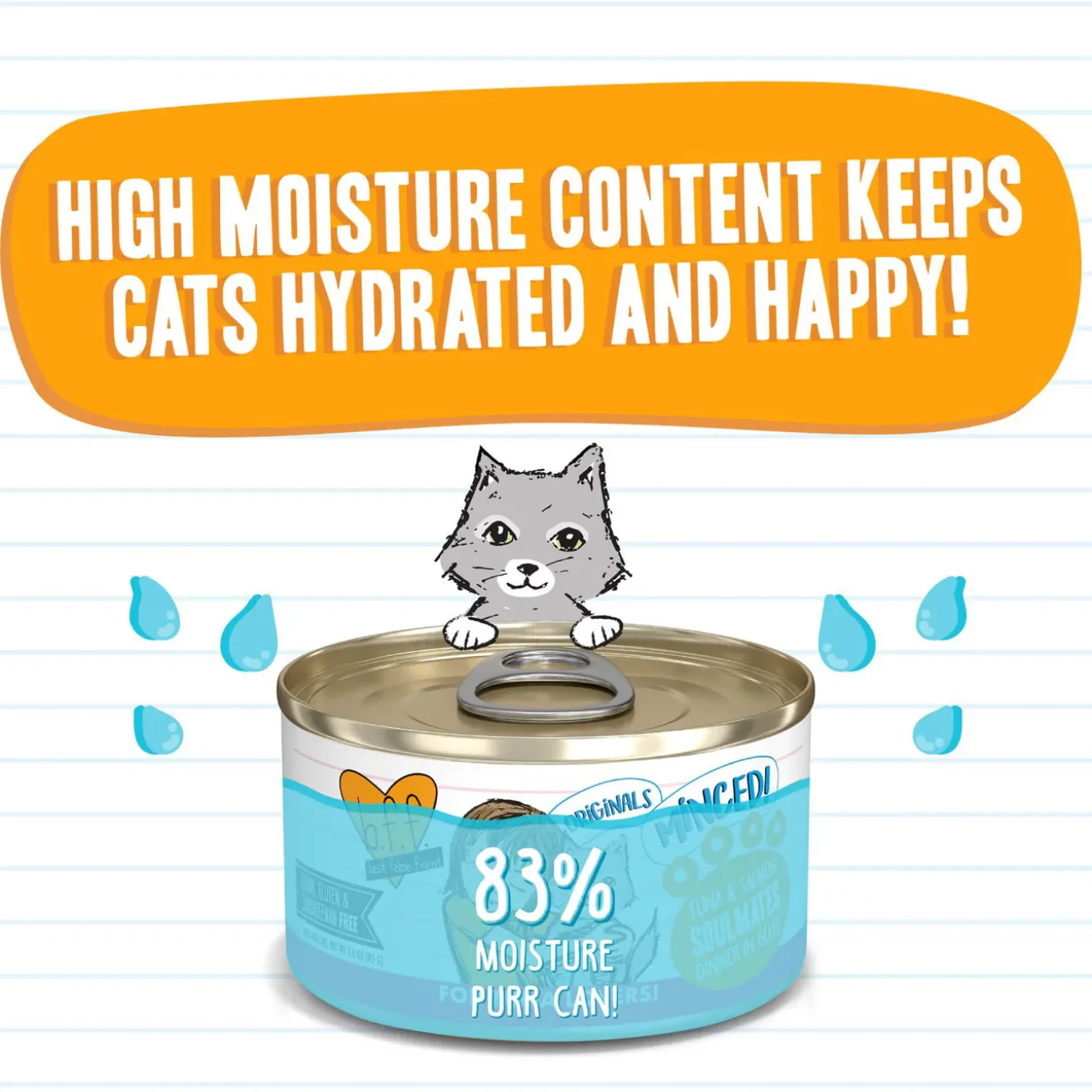 Best Feline Friend BFF Grain-Free Canned Wet Cat Food