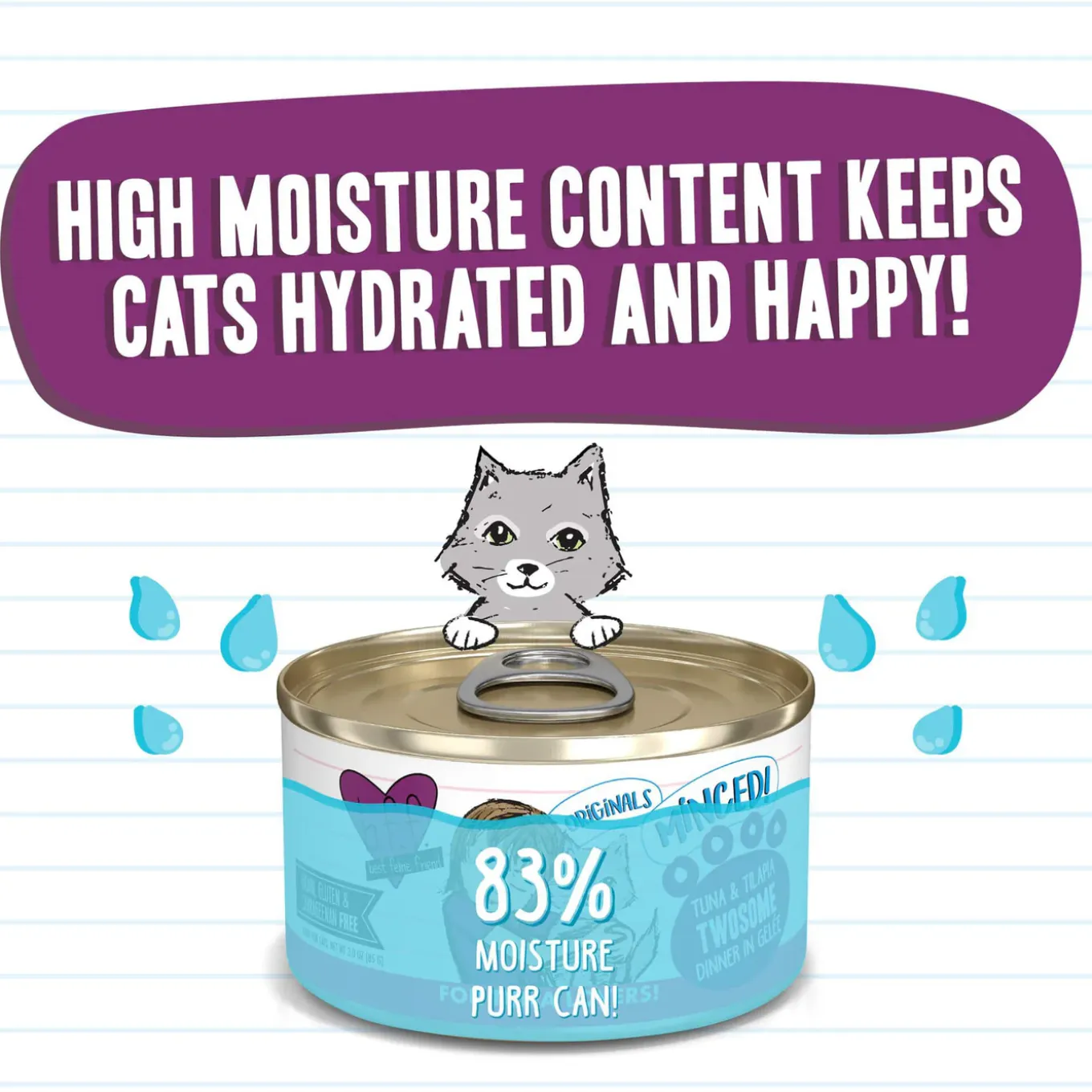Best Feline Friend BFF Grain-Free Canned Wet Cat Food