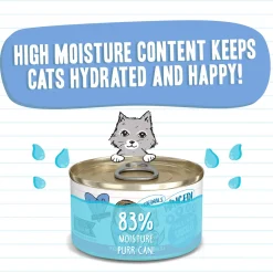 Best Feline Friend BFF Grain-Free Canned Wet Cat Food