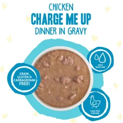 Best Feline Friend BFF Oh My Gravy! Grain-Free Wet Cat Food Pouches