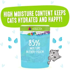 Best Feline Friend BFF Oh My Gravy! Grain-Free Wet Cat Food Pouches