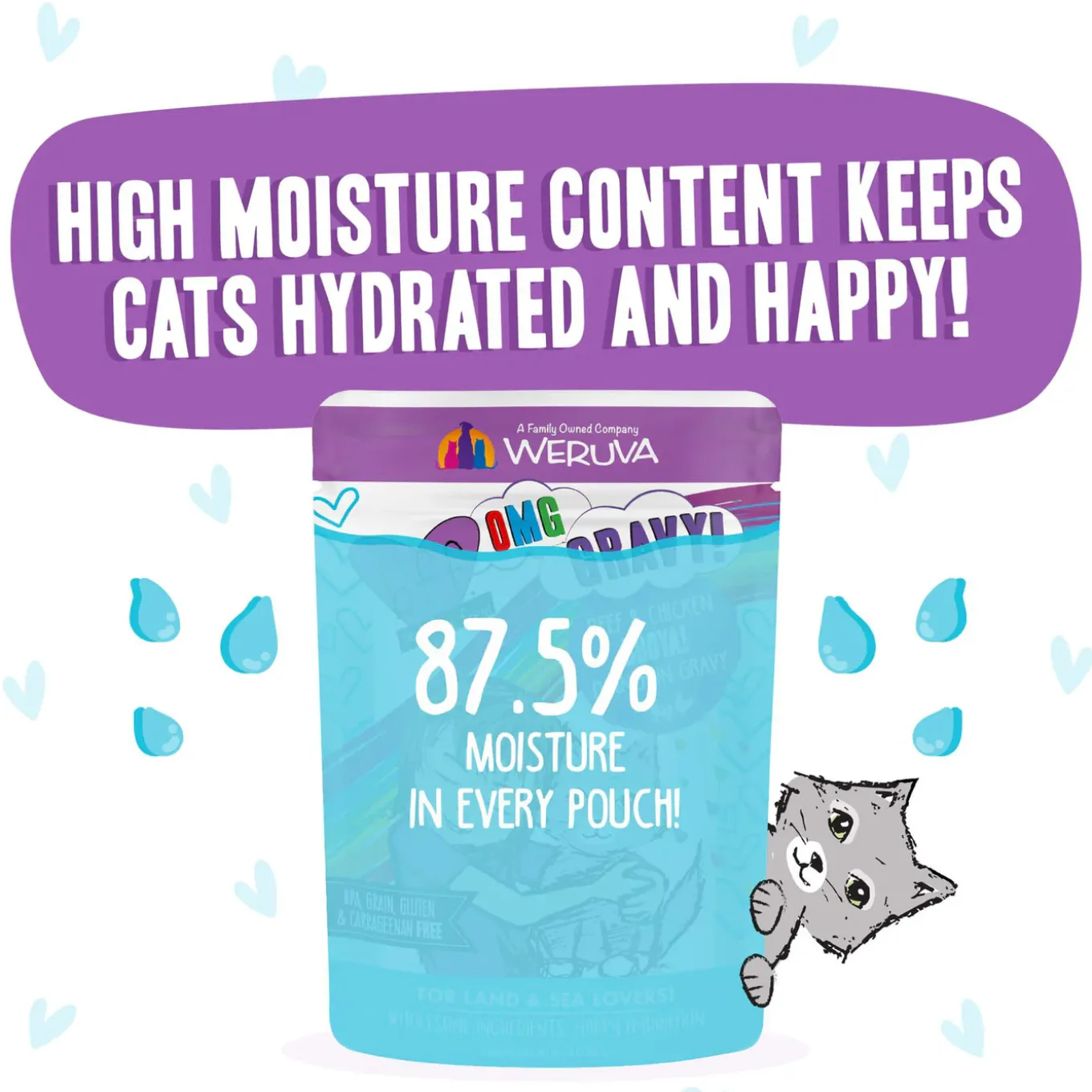 Best Feline Friend BFF Oh My Gravy! Grain-Free Wet Cat Food Pouches