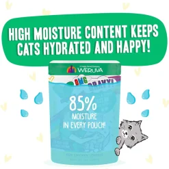 Best Feline Friend BFF Oh My Gravy! Grain-Free Wet Cat Food Pouches