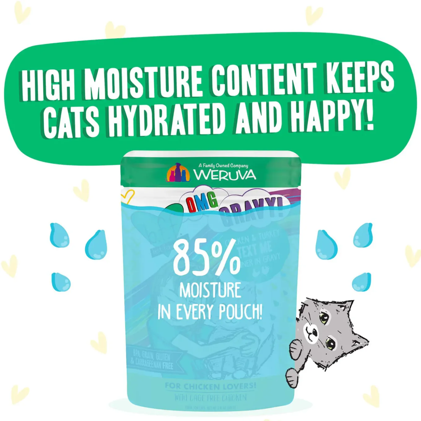 Best Feline Friend BFF Oh My Gravy! Grain-Free Wet Cat Food Pouches