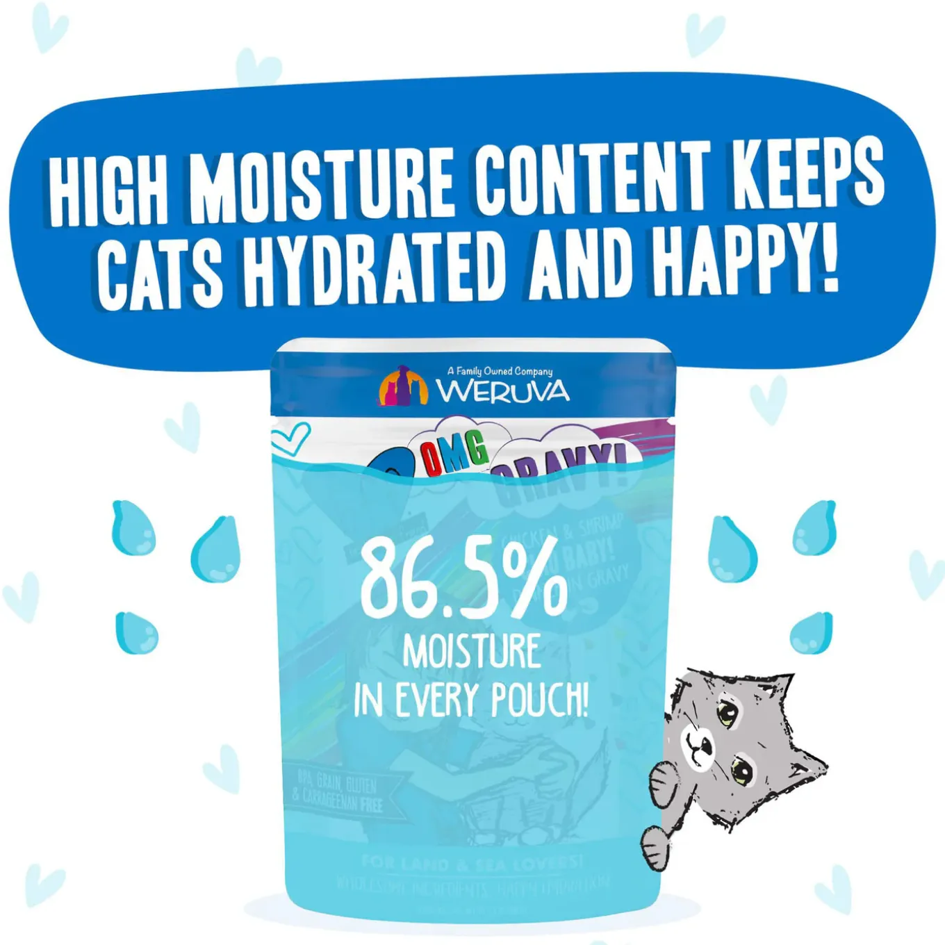 Best Feline Friend BFF Oh My Gravy! Grain-Free Wet Cat Food Pouches