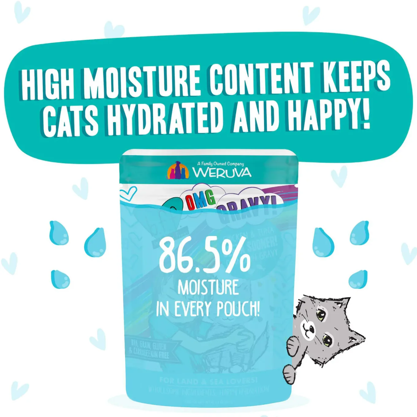 Best Feline Friend BFF Oh My Gravy! Grain-Free Wet Cat Food Pouches