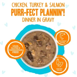 Best Feline Friend BFF Oh My Gravy! Grain-Free Wet Cat Food Pouches