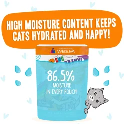 Best Feline Friend BFF Oh My Gravy! Grain-Free Wet Cat Food Pouches