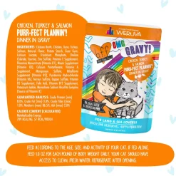 Best Feline Friend BFF Oh My Gravy! Grain-Free Wet Cat Food Pouches