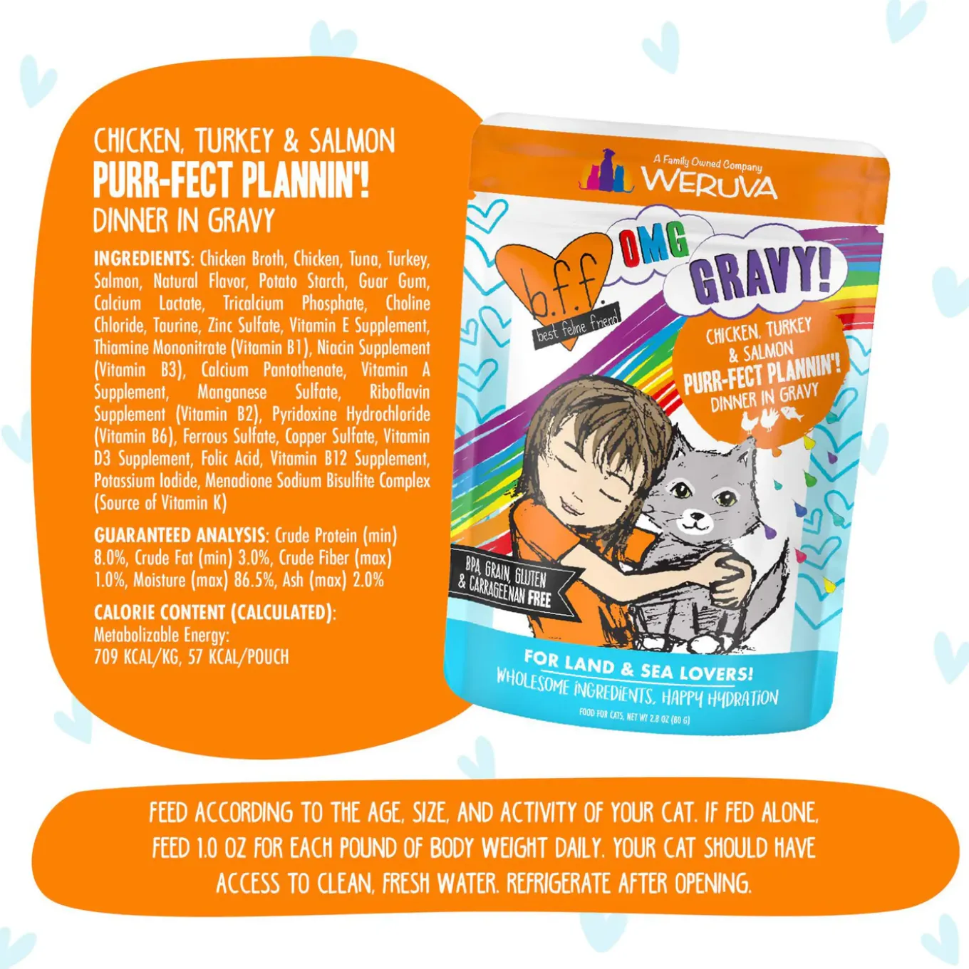 Best Feline Friend BFF Oh My Gravy! Grain-Free Wet Cat Food Pouches