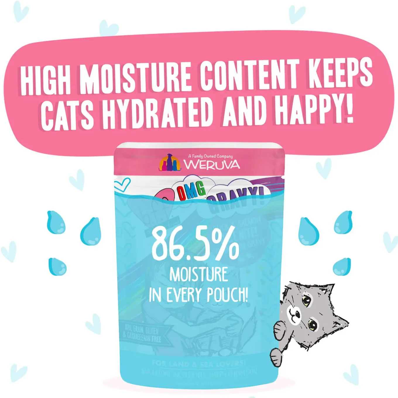Best Feline Friend BFF Oh My Gravy! Grain-Free Wet Cat Food Pouches