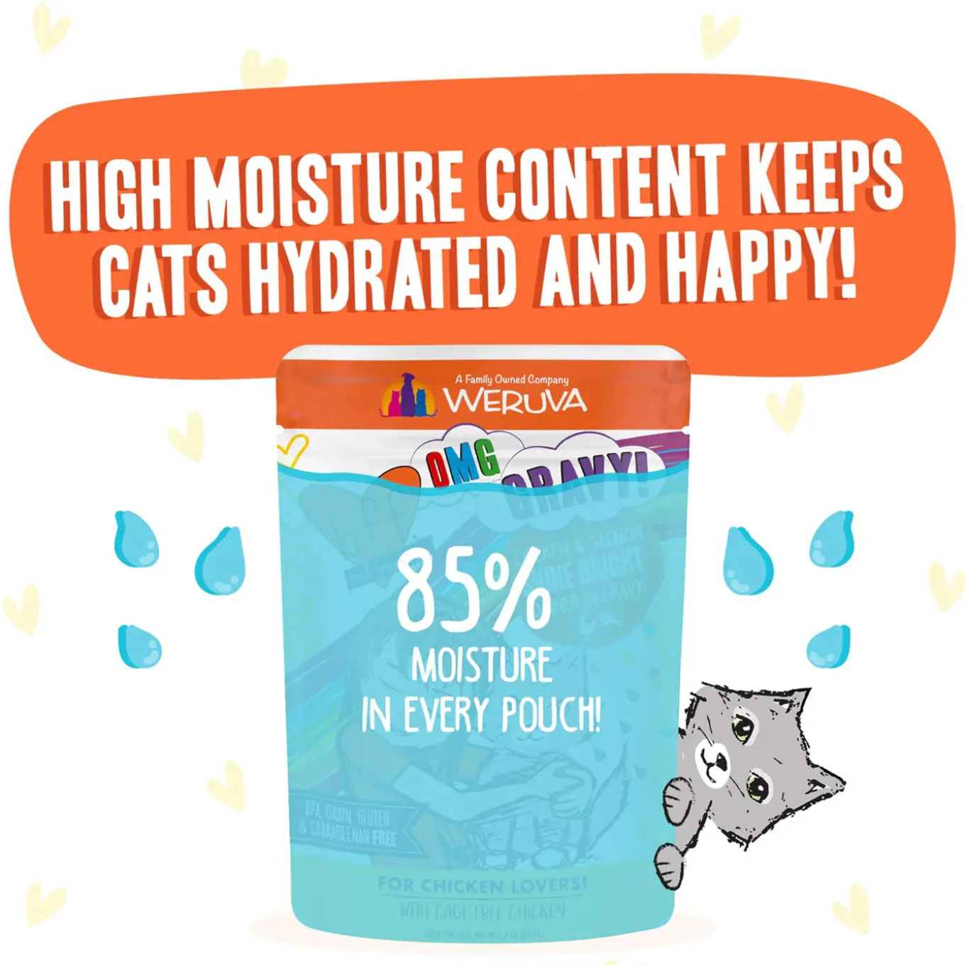 Best Feline Friend BFF Oh My Gravy! Grain-Free Wet Cat Food Pouches