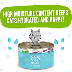 Best Feline Friend BFF Oh My Gravy! Grain-Free Wet Canned Cat Foods