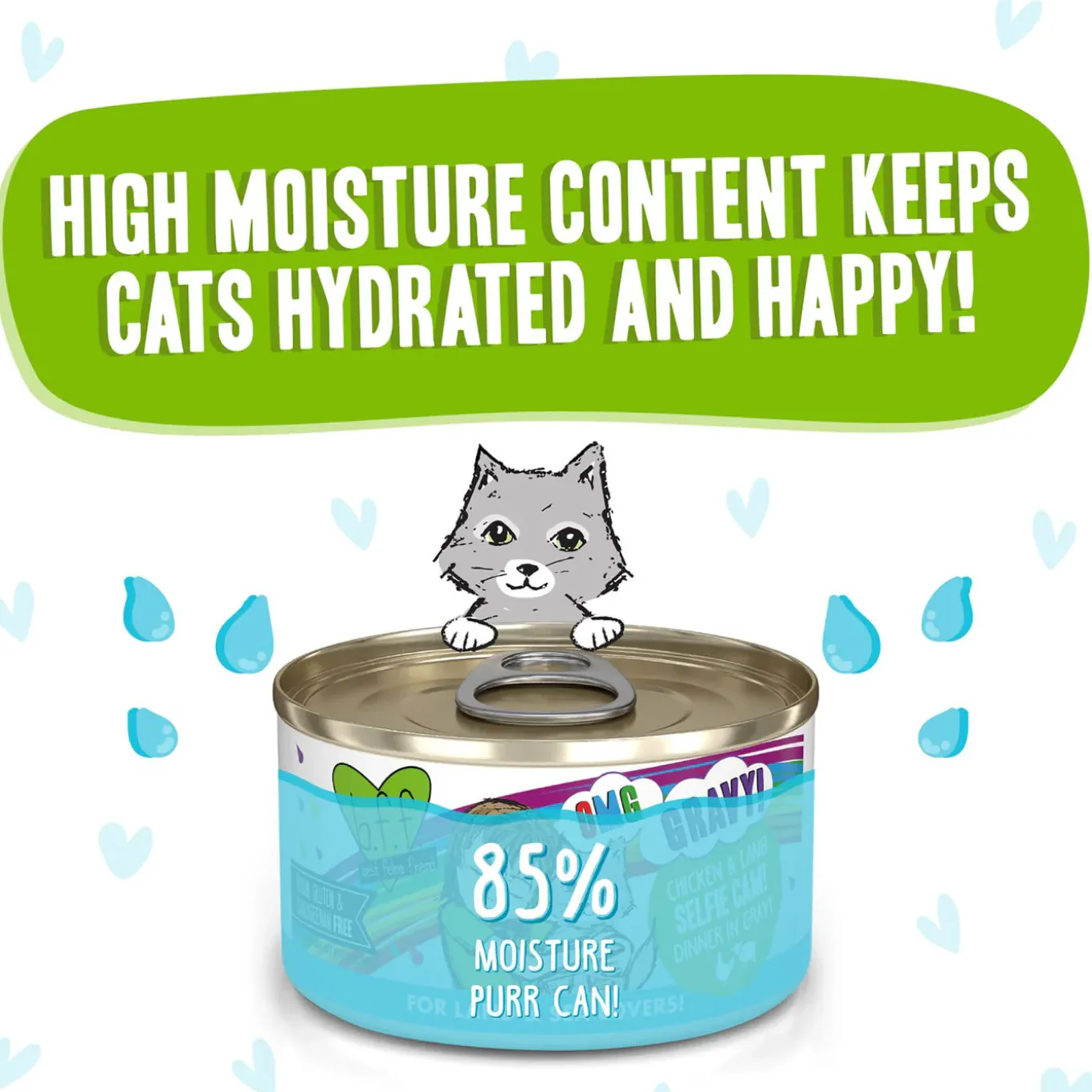 Best Feline Friend BFF Oh My Gravy! Grain-Free Wet Canned Cat Foods