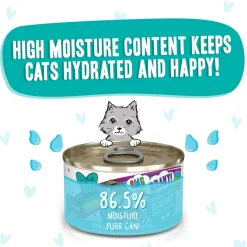Best Feline Friend BFF Oh My Gravy! Grain-Free Wet Canned Cat Foods