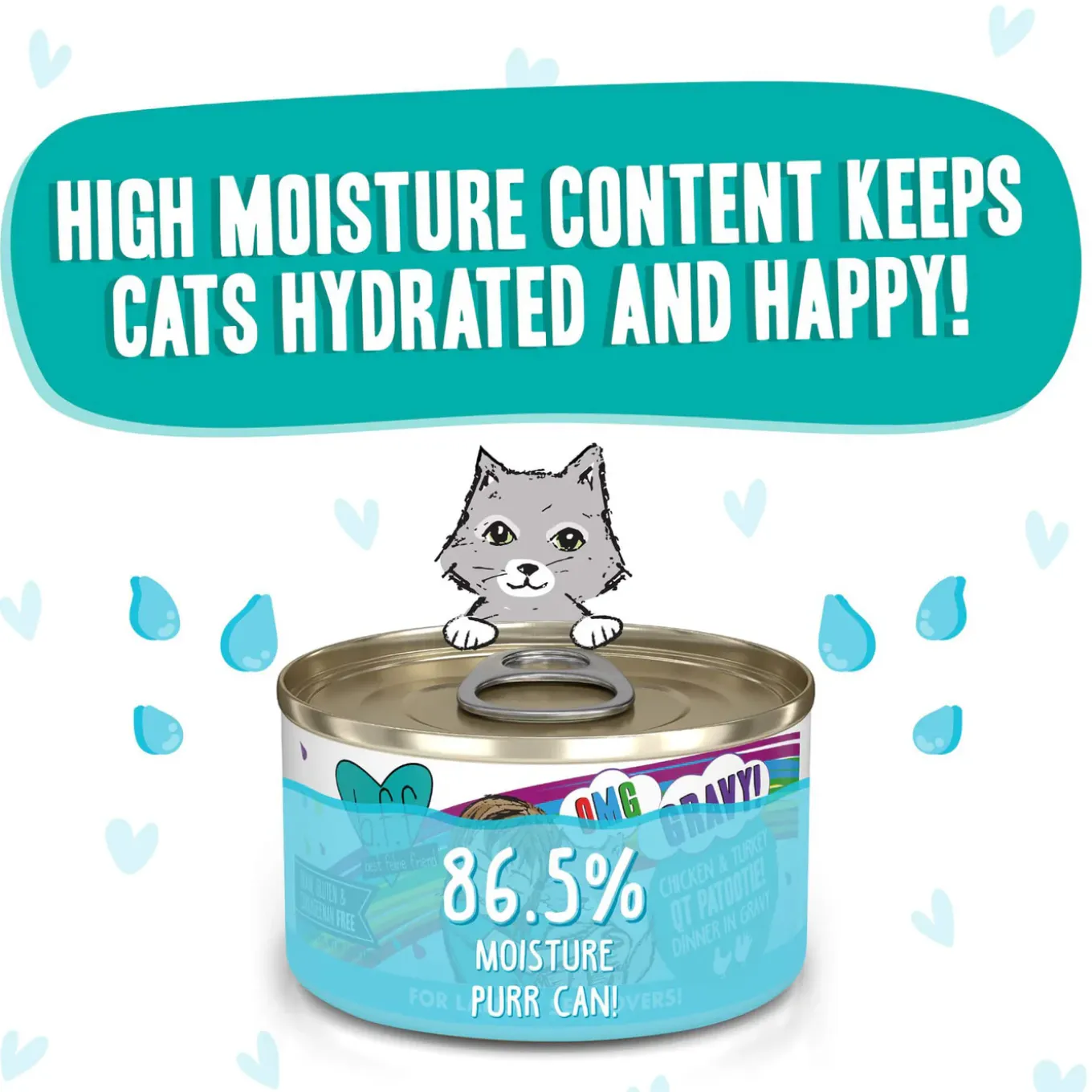 Best Feline Friend BFF Oh My Gravy! Grain-Free Wet Canned Cat Foods