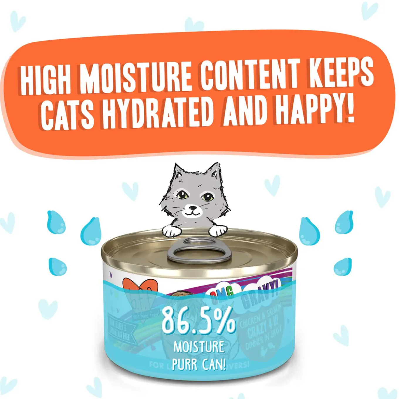 Best Feline Friend BFF Oh My Gravy! Grain-Free Wet Canned Cat Foods
