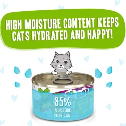 Best Feline Friend BFF Oh My Gravy! Grain-Free Wet Canned Cat Foods