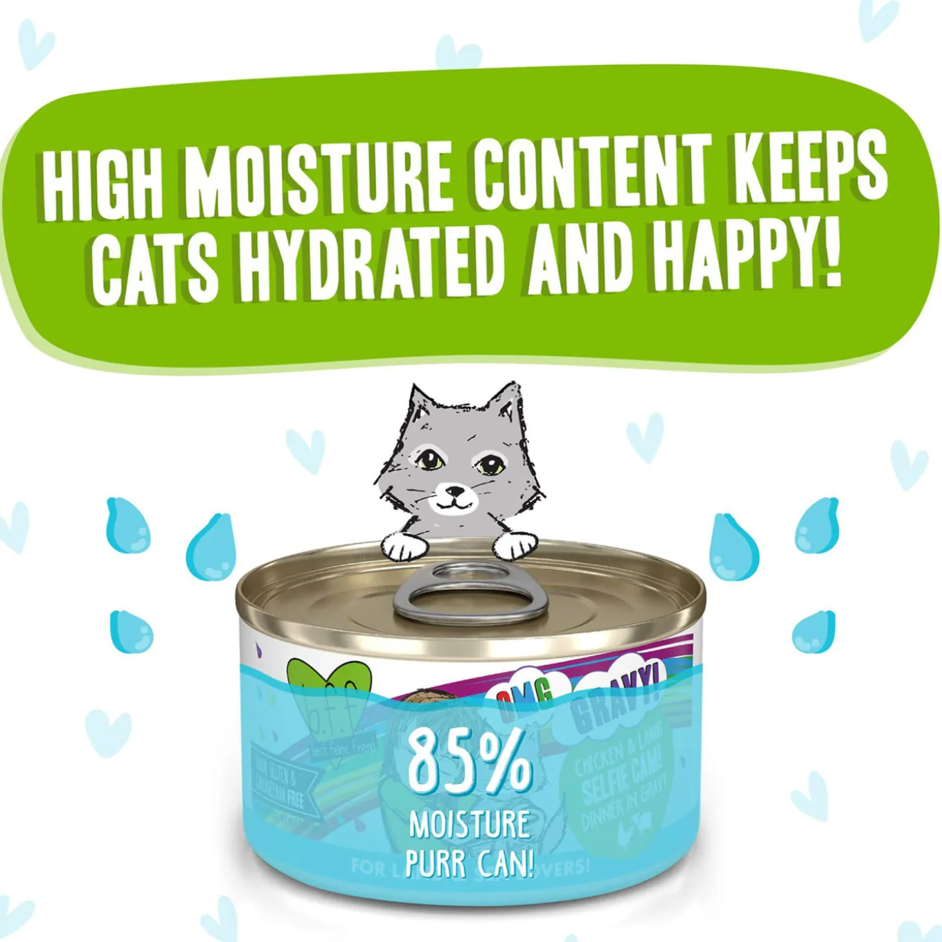 Best Feline Friend BFF Oh My Gravy! Grain-Free Wet Canned Cat Foods