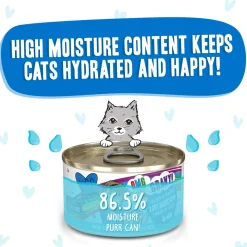 Best Feline Friend BFF Oh My Gravy! Grain-Free Wet Canned Cat Foods
