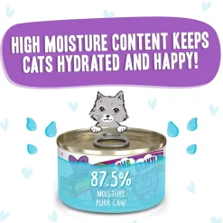 Best Feline Friend BFF Oh My Gravy! Grain-Free Wet Canned Cat Foods