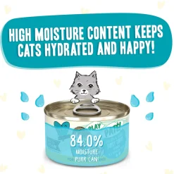 Best Feline Friend BFF PLAY! Pate Lover's Aw Yeah Wet Canned Cat Food