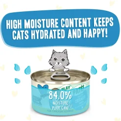 Best Feline Friend BFF PLAY! Pate Lover's Aw Yeah Wet Canned Cat Food