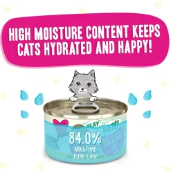 Best Feline Friend BFF PLAY! Pate Lover's Aw Yeah Wet Canned Cat Food