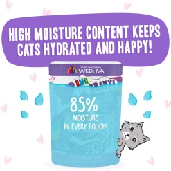 Best Feline Friend Grain-Free Cat Food Pouches